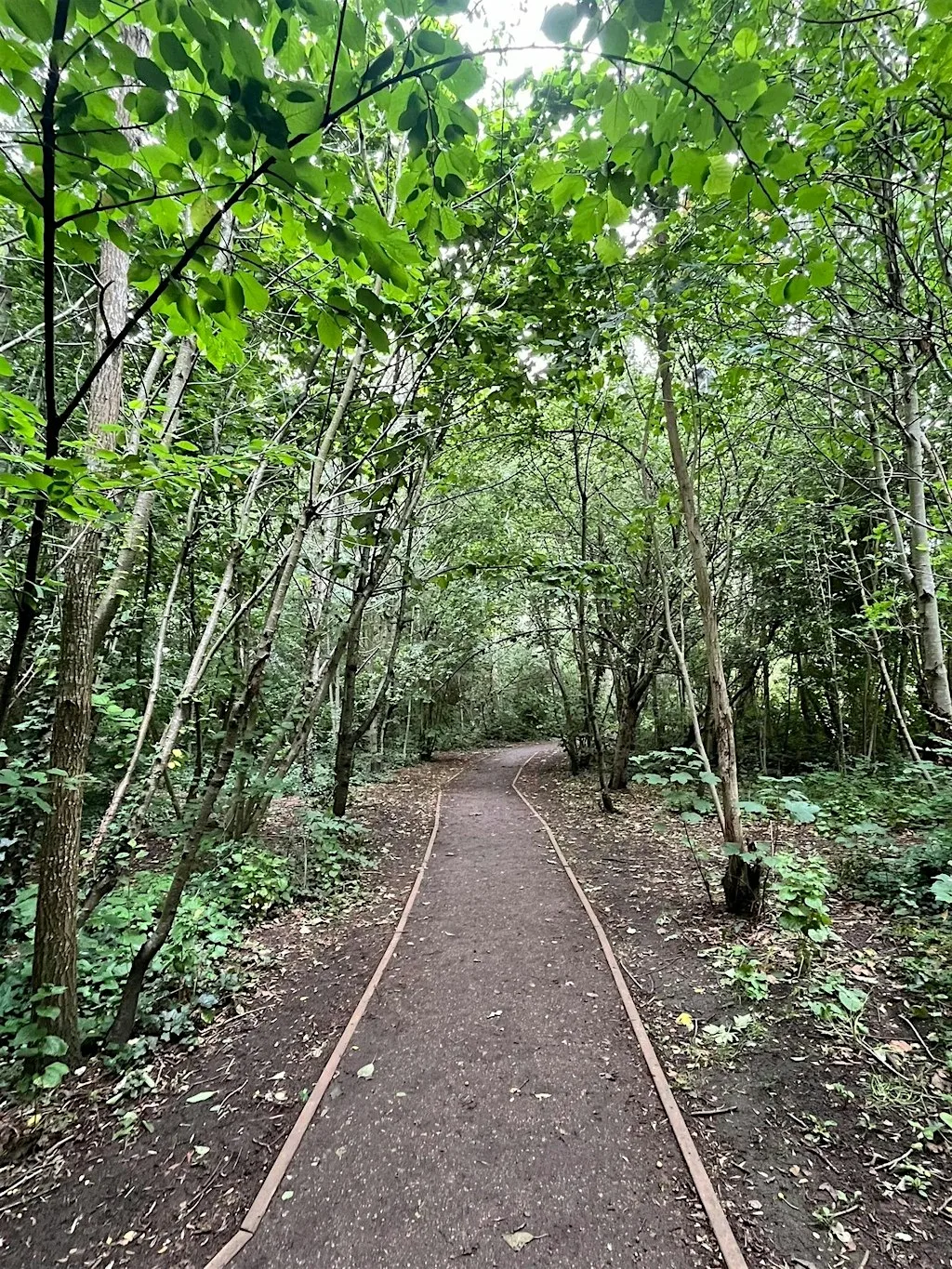 Black Girls Hike x London Wildlife Trust: Sydenham & Dulwich Woods