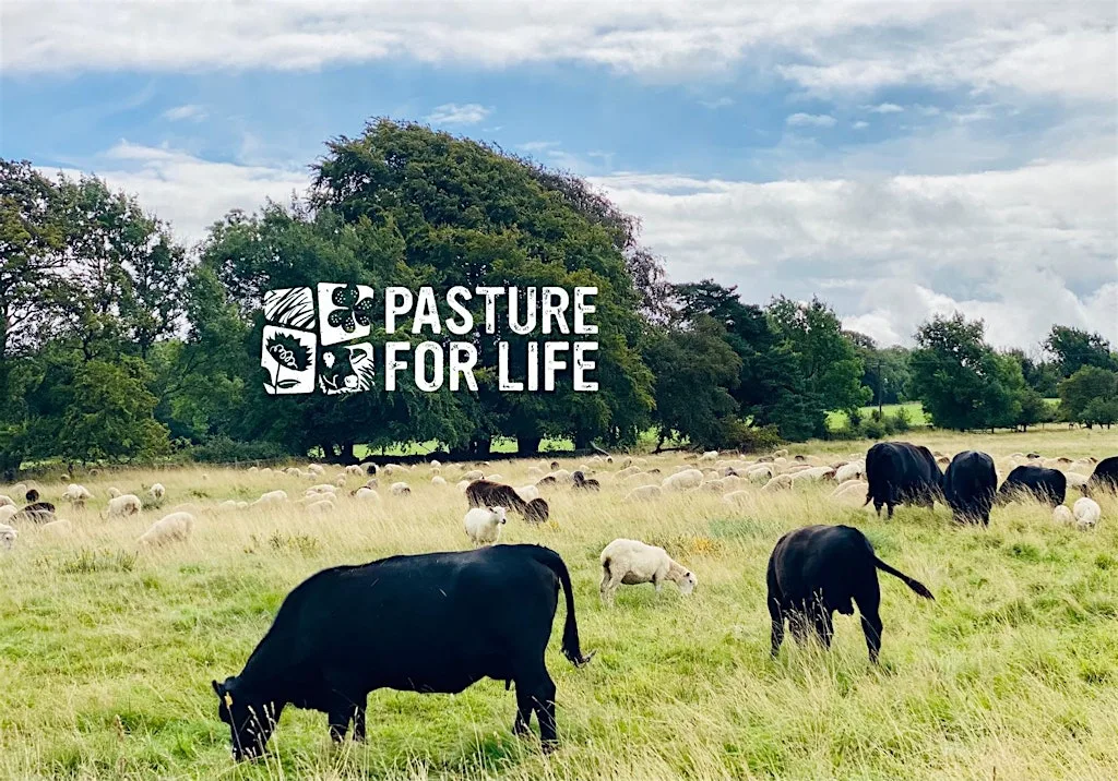 Regenerative Sheep Systems at Fernhill Farm
