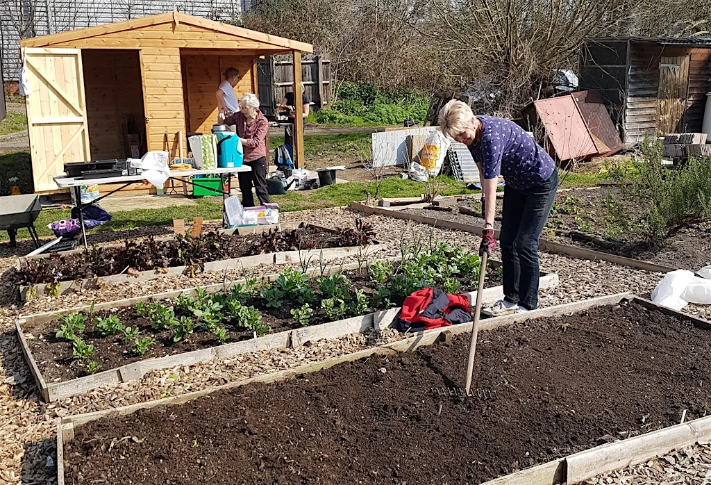 Free No Dig Workshop