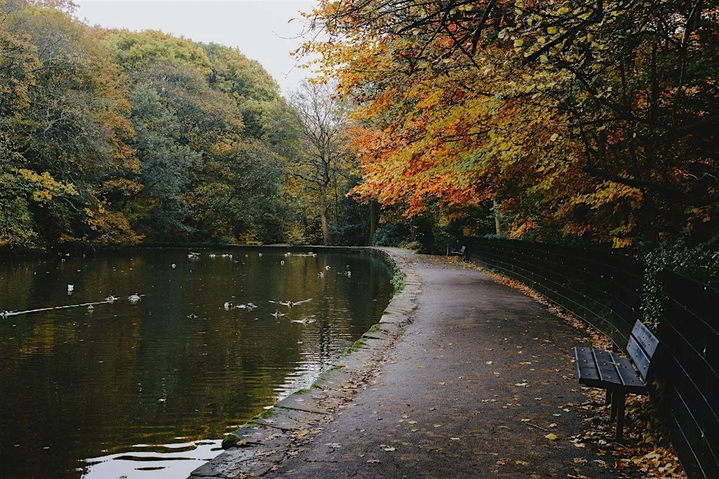 Out of Office - Sheffield Netwalking