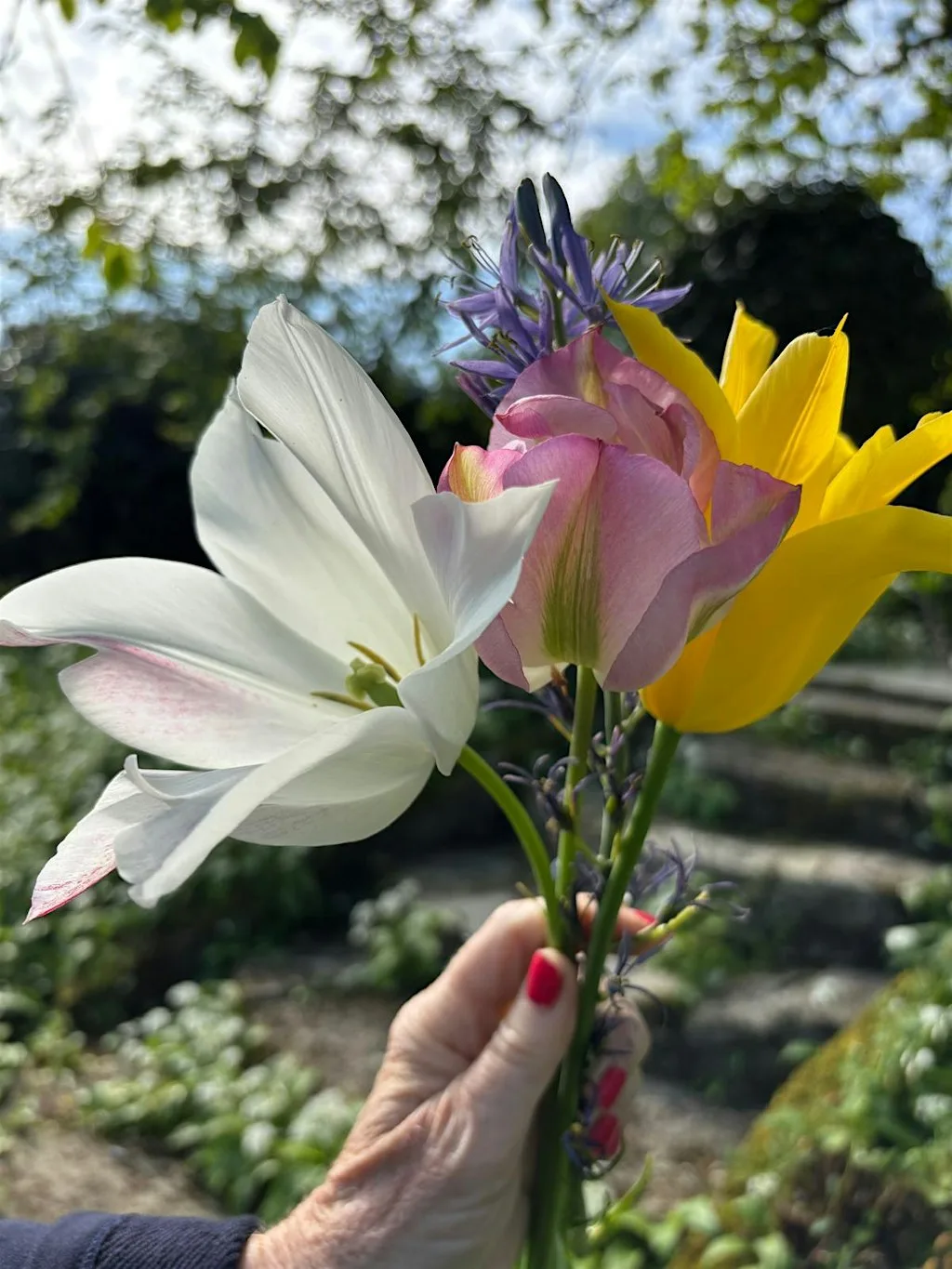 TALK ON BULBS AND BULB PLANTING - RARE PLANT FAIR SALTHROP HOUSE at Salthrop House