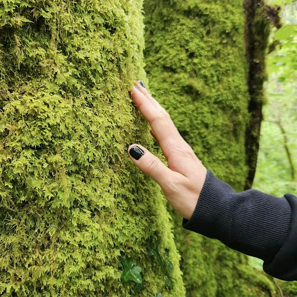 NatureWell - nature and wellbeing workshop in Exeter at Northernhay Gardens