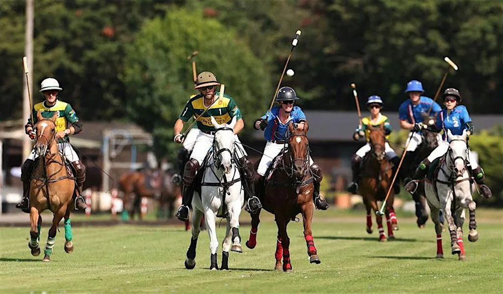 30+ Singles Social Sunday Polo at Ham Polo Club