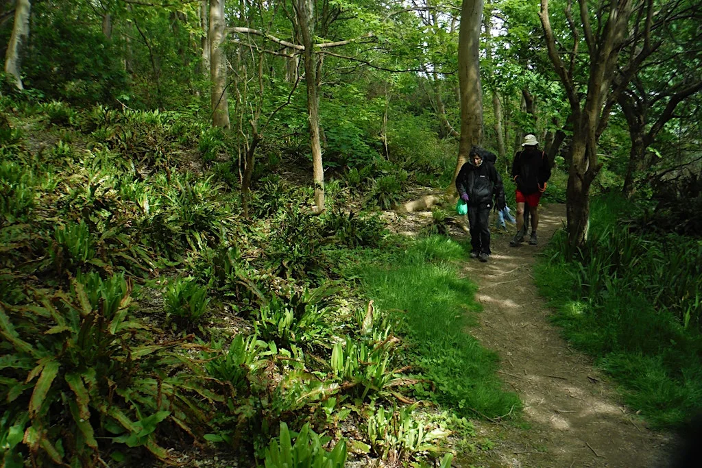 Dover to Folkestone wild swimming walk at The Priory