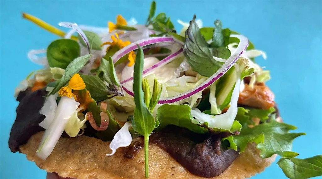 Noche de Pica Rico at Coronation Park, Helston
