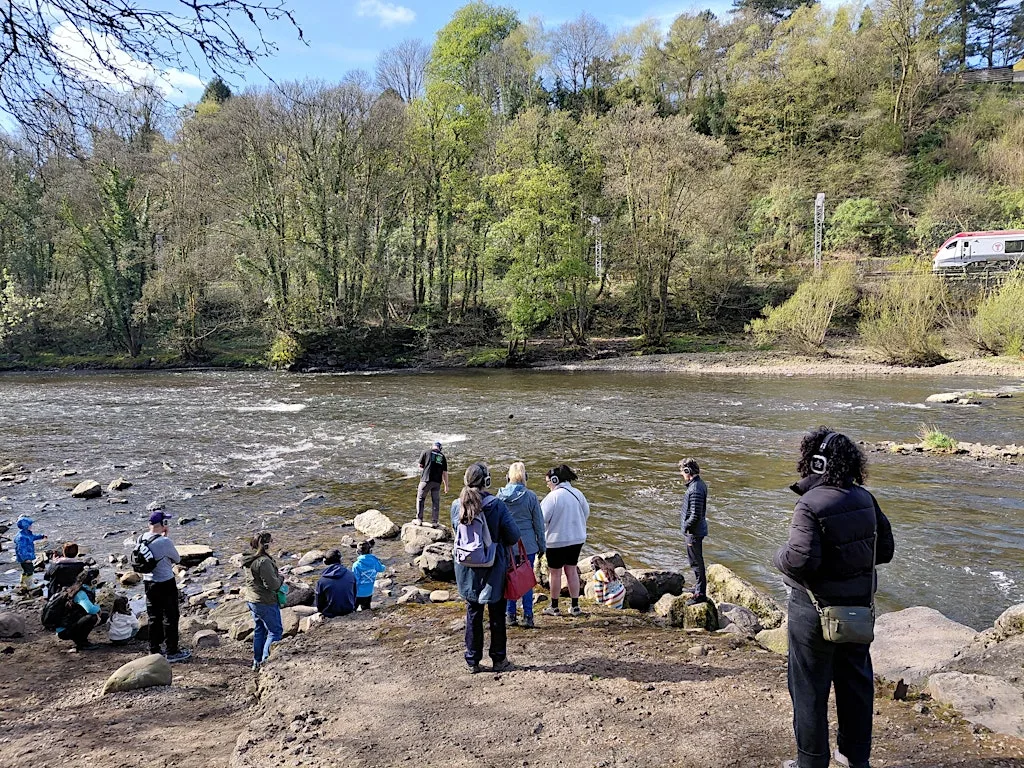Immersive Sound Walk at Forest Farm at Forest Farm Car Park