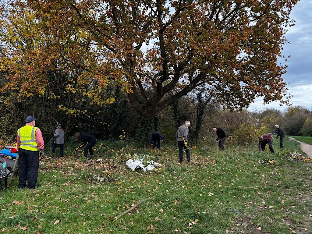 The Conservation Volunteers - Ham Lands Grassland Management at Ham Lands Local Nature Reserve
