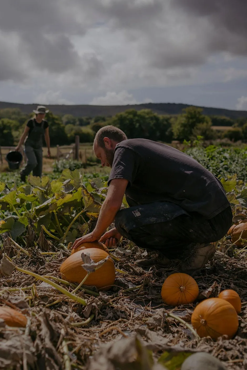 Autumn Equinox at My Little Farm at My Little Farm