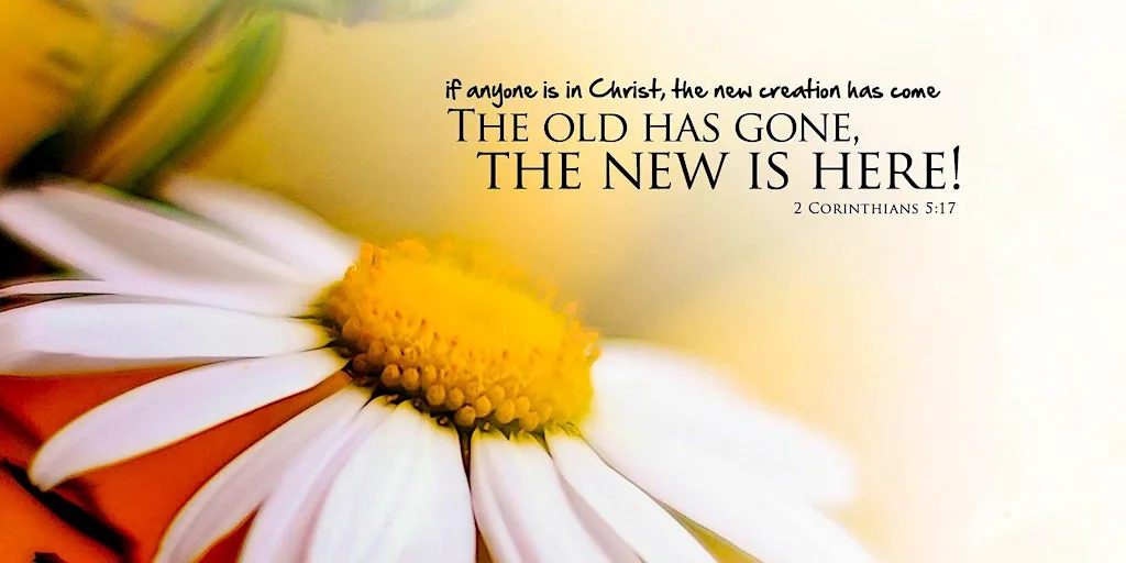 Weekly Sunday worship