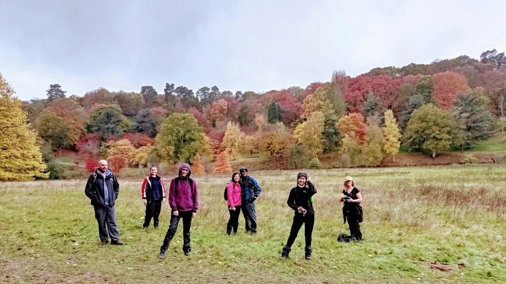 Winkworth Arboretum and the Greensand Way Autumn Colors Hike