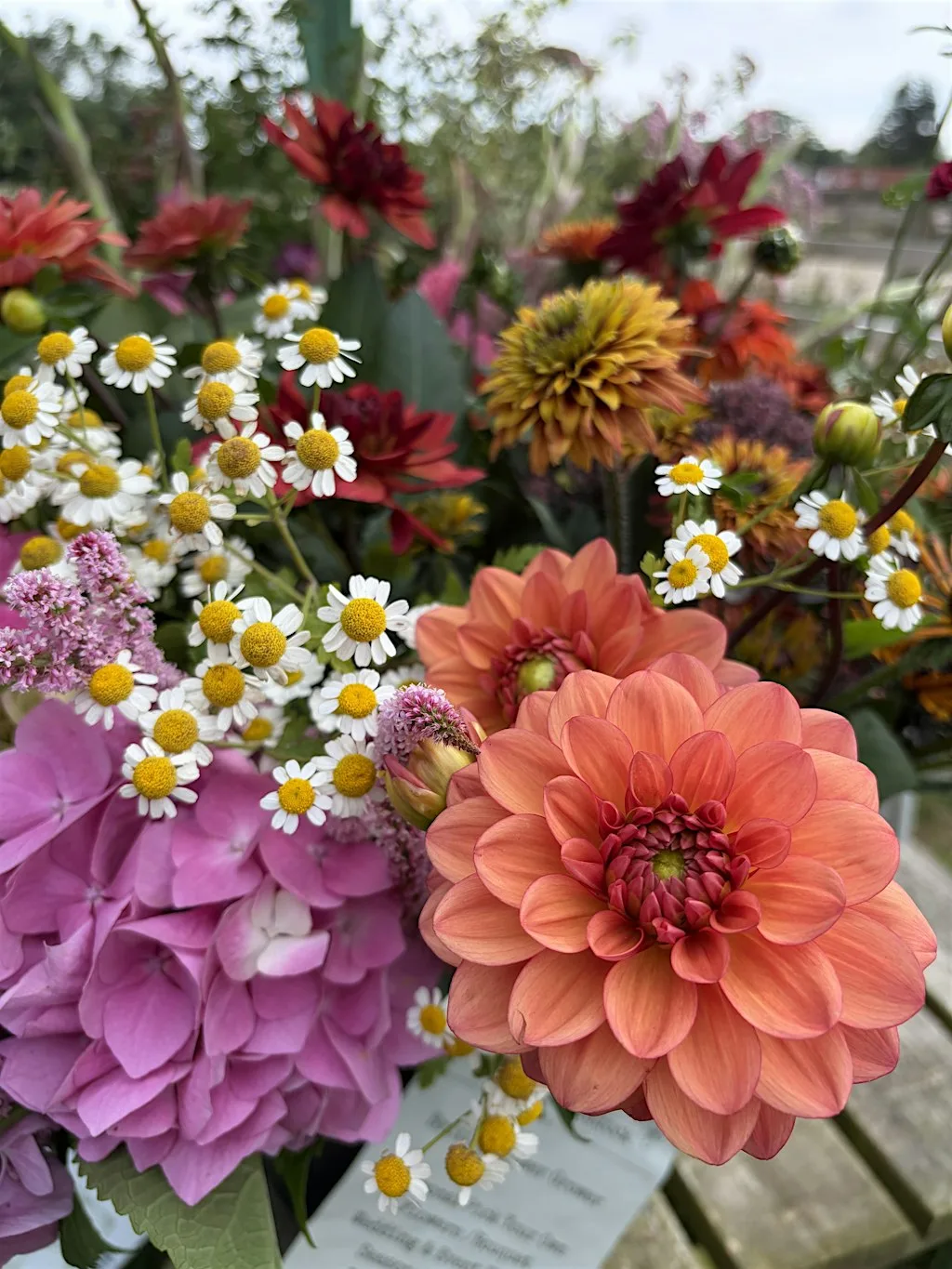 Pick Your Own Flowers