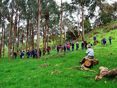 Mornington Peninsula Agroecology Excursion - Bambra Agroforestry
