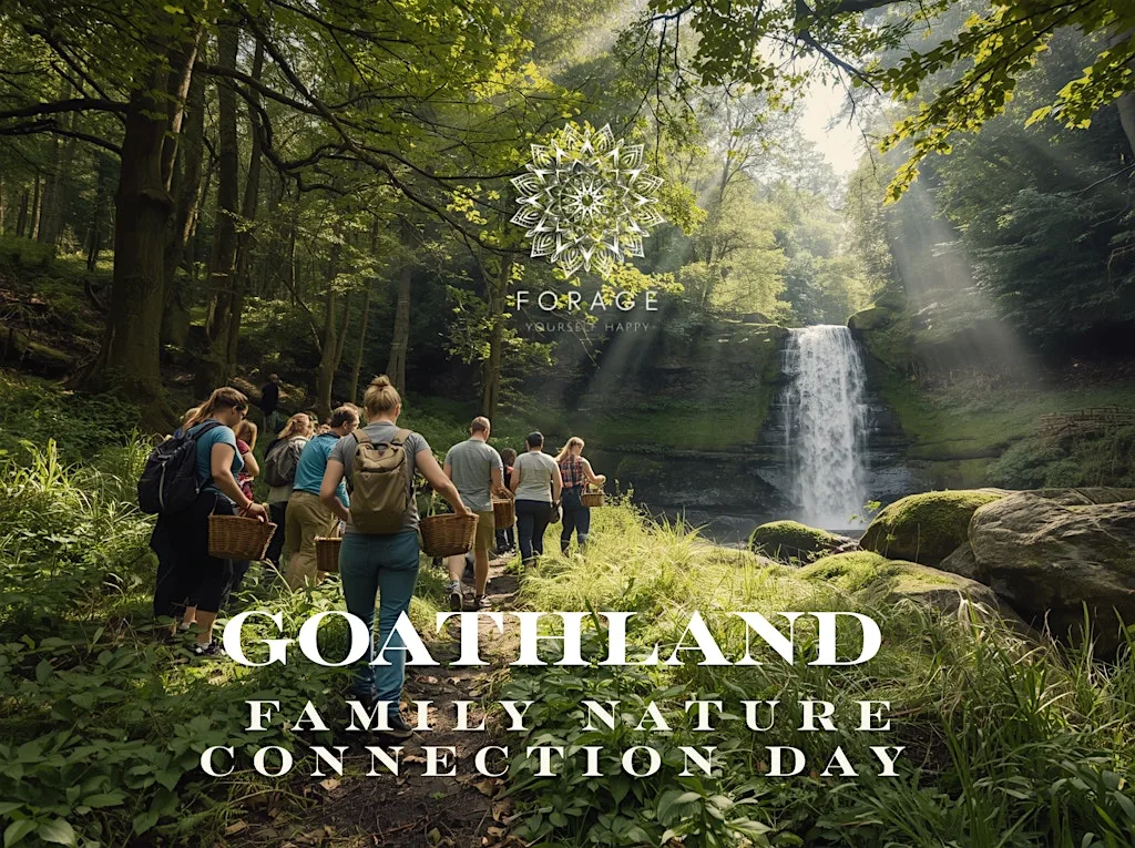 Family Nature Connection Day | Goathland