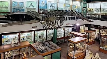 Zoology Museum Tour 12:00-12:45