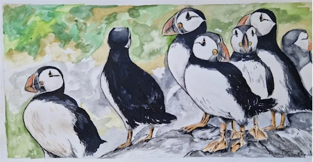 Beginners Water Colour Puffins Workshop at Ditzy Rose Makery