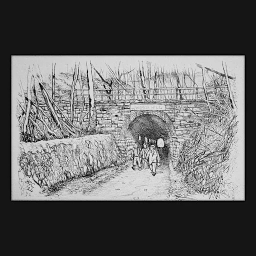 Doodles and Drawing walk