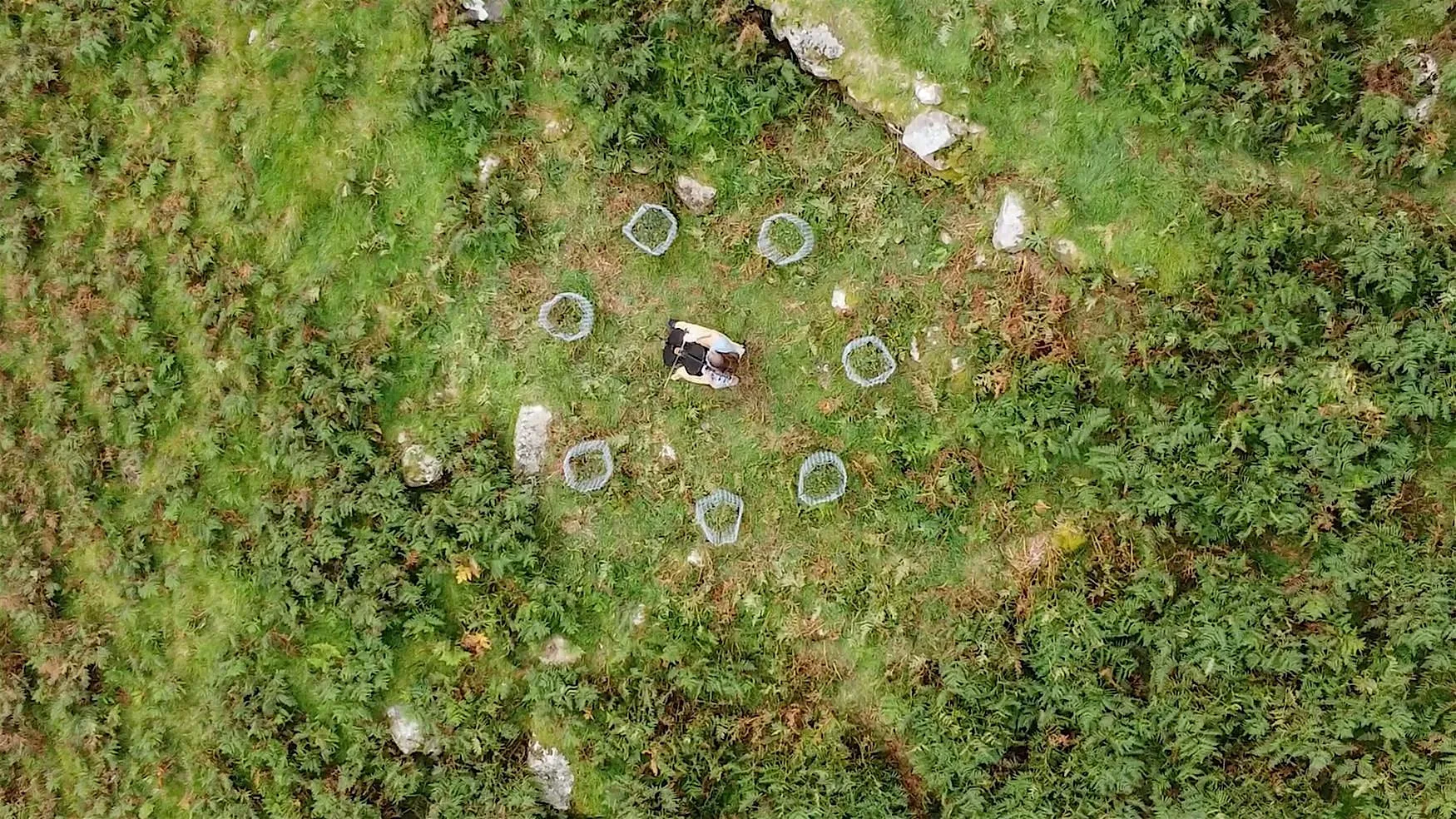 Art Matters: Films, poetry and more from the LUNZ programme at The James Hutton Institute