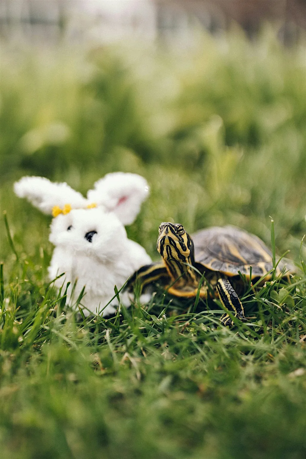 Slow Coaching for writers: monthly group mentoring with Beverley Ward