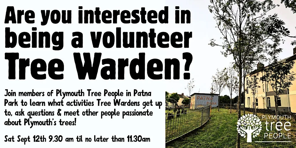 Volunteer Tree Warden Taster Session