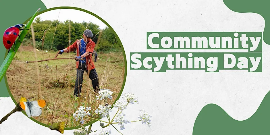 Community Scything Day at Midsomer Norton Town Park