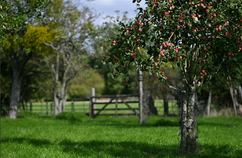 Orchards for Wildlife at Three Counties Showground
