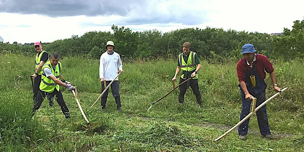 Learn To Mow With An Austrian Scythe