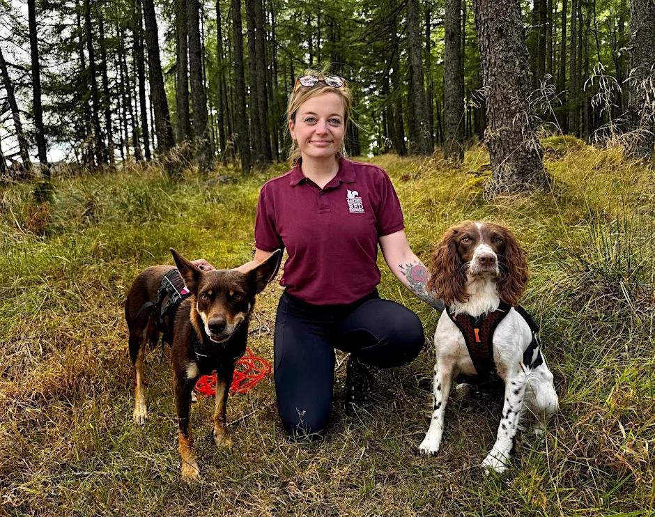 Greyhope Morning: Cairngorm Conservation Dogs at Greyhope Bay Centre