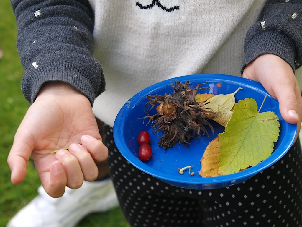 Nature Club - Tree Seeds at Science Oxford Centre