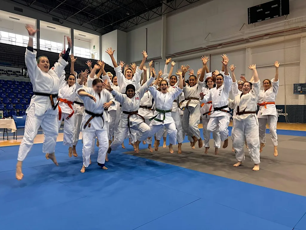 Women and Teenage Girls Aikido Taster