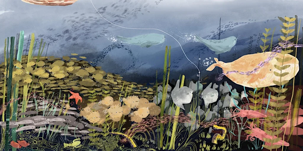 Meet the Illustrator | Create an Underwater Character for 6-11 yrs at Flowerfield Arts Centre