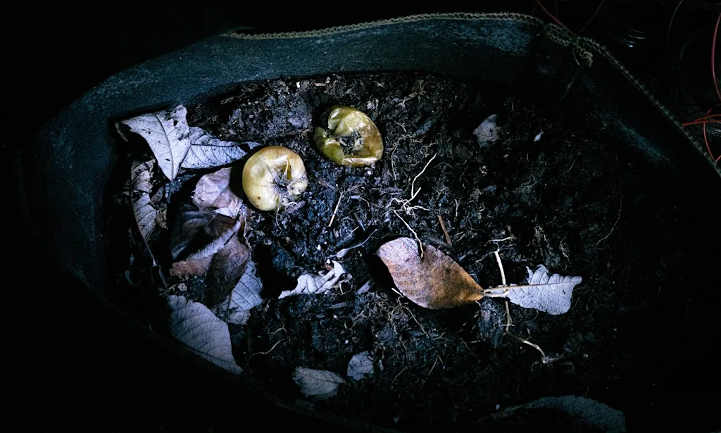 Living Light Lab: Make a Soil Battery to Power Light for Photography at Islington Mill