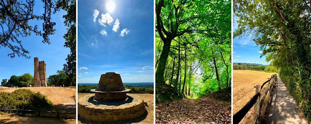 Surrey 3 Peaks Challenge | Challenging 27km Hike incl. Box Hill, Leith Hill