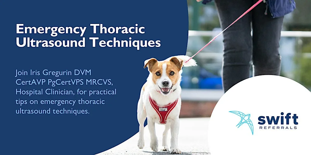 Emergency Thoracic Ultrasound Techniques