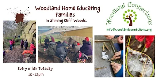 Woodland Home Educating Families at Shining Cliff Woods