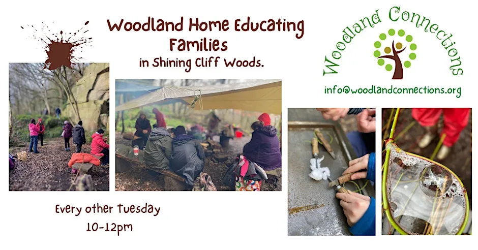 Woodland Home Educating Families at Shining Cliff Woods at Shining Cliff Woods