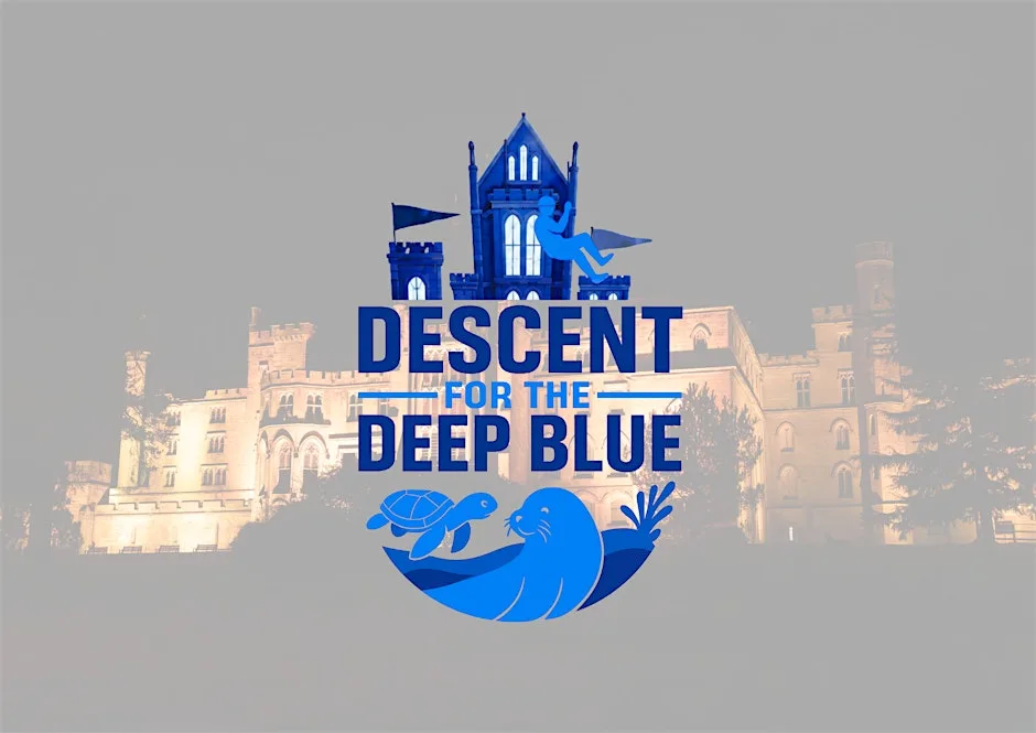 SEA LIFE TRUST Descent for the Deep Blue 2026 at Alton Towers