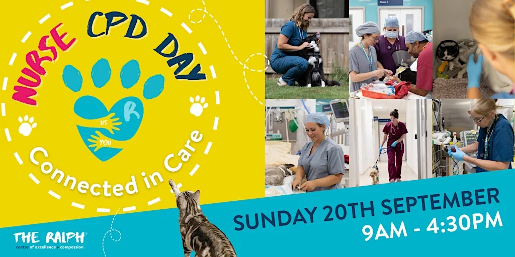 Nurse CPD Day 2026: Connected in Care at Adams Park Stadium