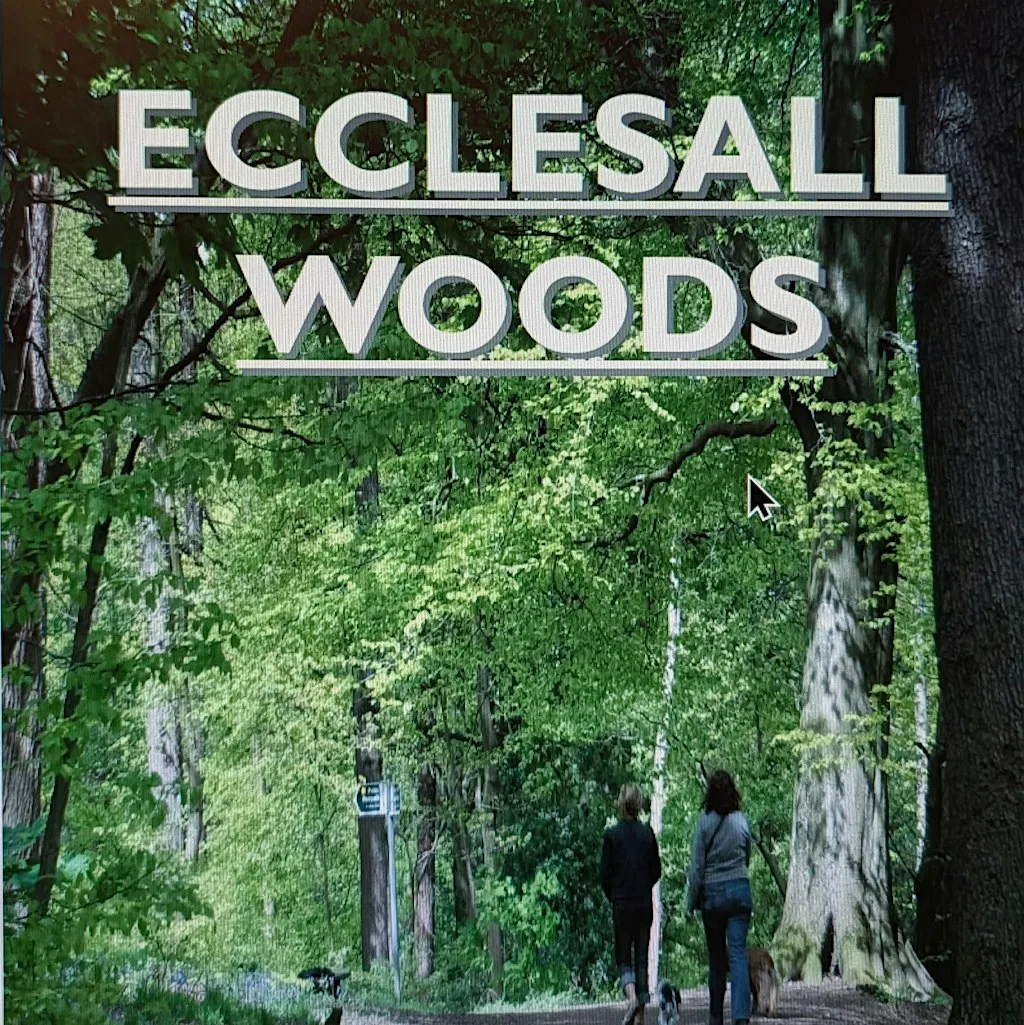 A Walk Through Ecclesall Woods