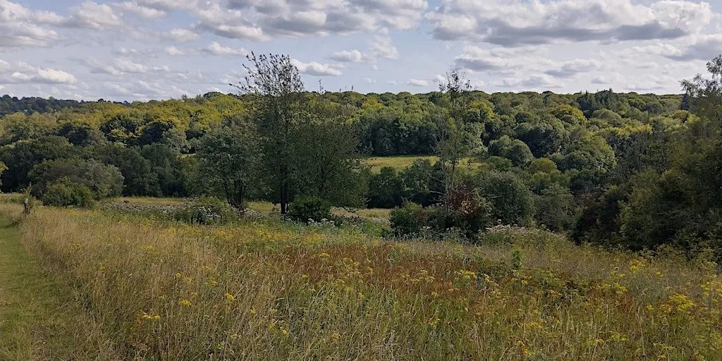 Walking Tour - The Heights of London - Sutton