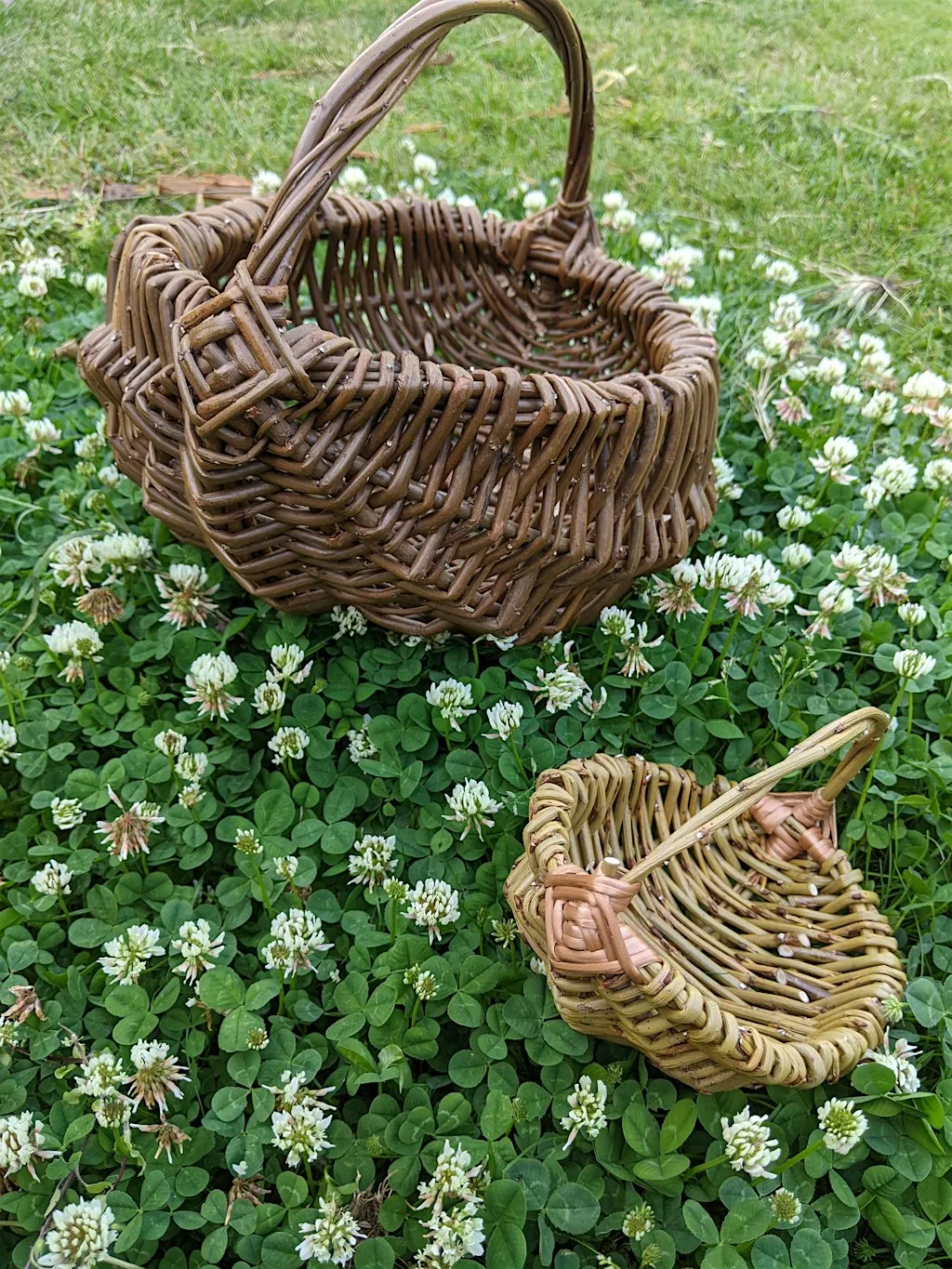 Willow weaving Basket Workshop