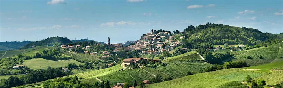 Nebbiolo & Truffles: From Langhe to Barolo | A Piedmont Wine Experience at Jeroboams King's Road