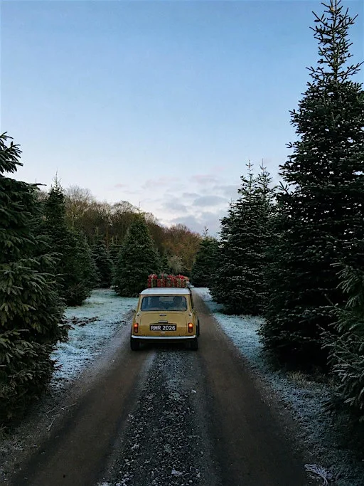 Charity Christmas Classic Mini Run 2026 at The Tree Barn