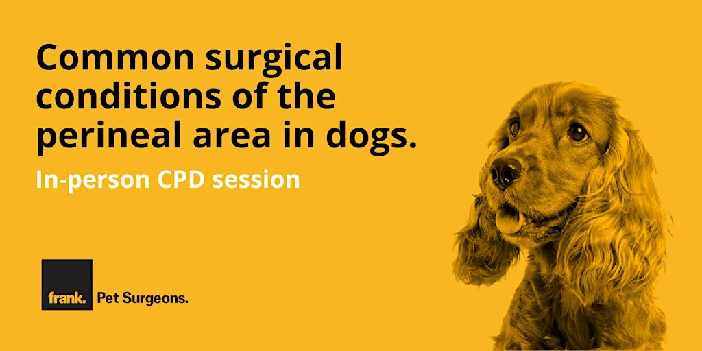 Common Surgical Conditions of the Perineal Area in Dogs