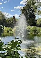 Wellbeing Bubble Walk for Grief & Loss - Hothfield Heathlands & Lake House at Lake House Kent