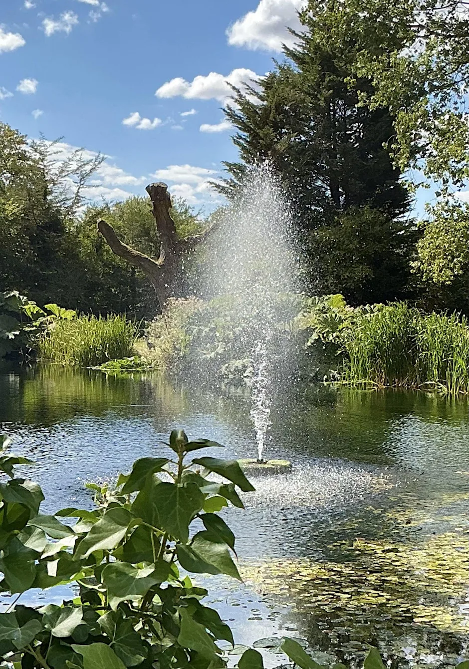 Wellbeing Bubble Walk for Grief & Loss - Hothfield Heathlands & Lake House at Lake House Kent