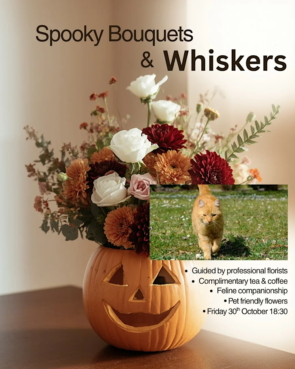 Spooky Bouquets & Whiskers