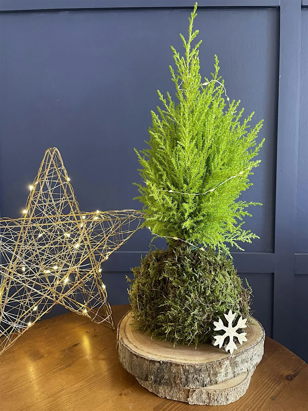 Kokedama Christmas Tree at Holden Clough Nurseries