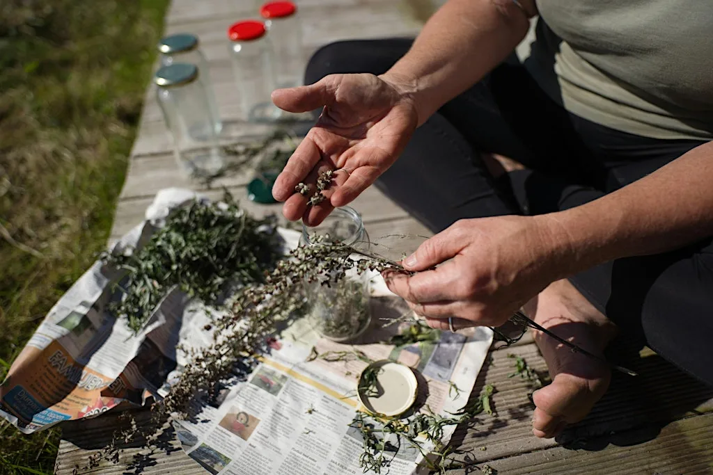 Foraging & Basket Making with Silo & STORE Projects: Camden Inspire