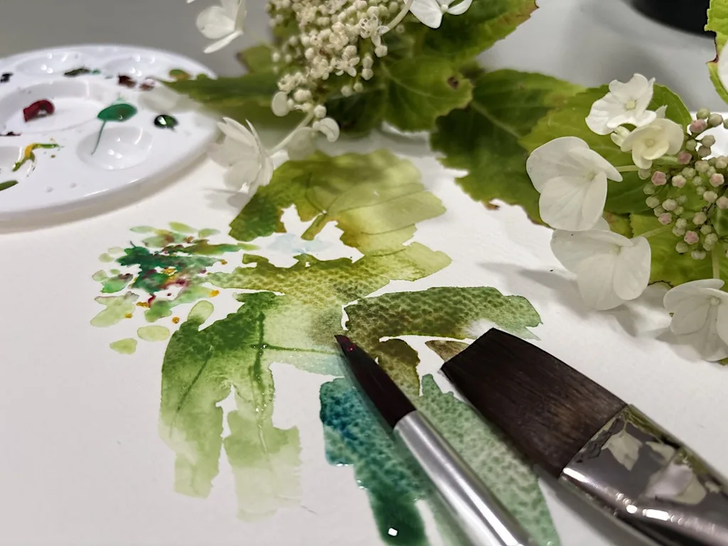 Bloom Botanicals Watercolour for 18+ yrs at Flowerfield Arts Centre