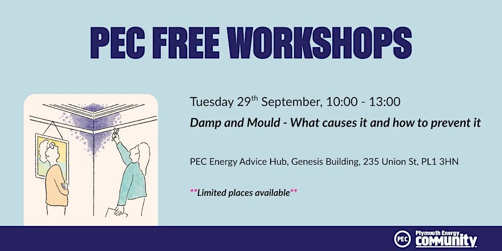 Damp and Mould - What causes it and how to prevent it
